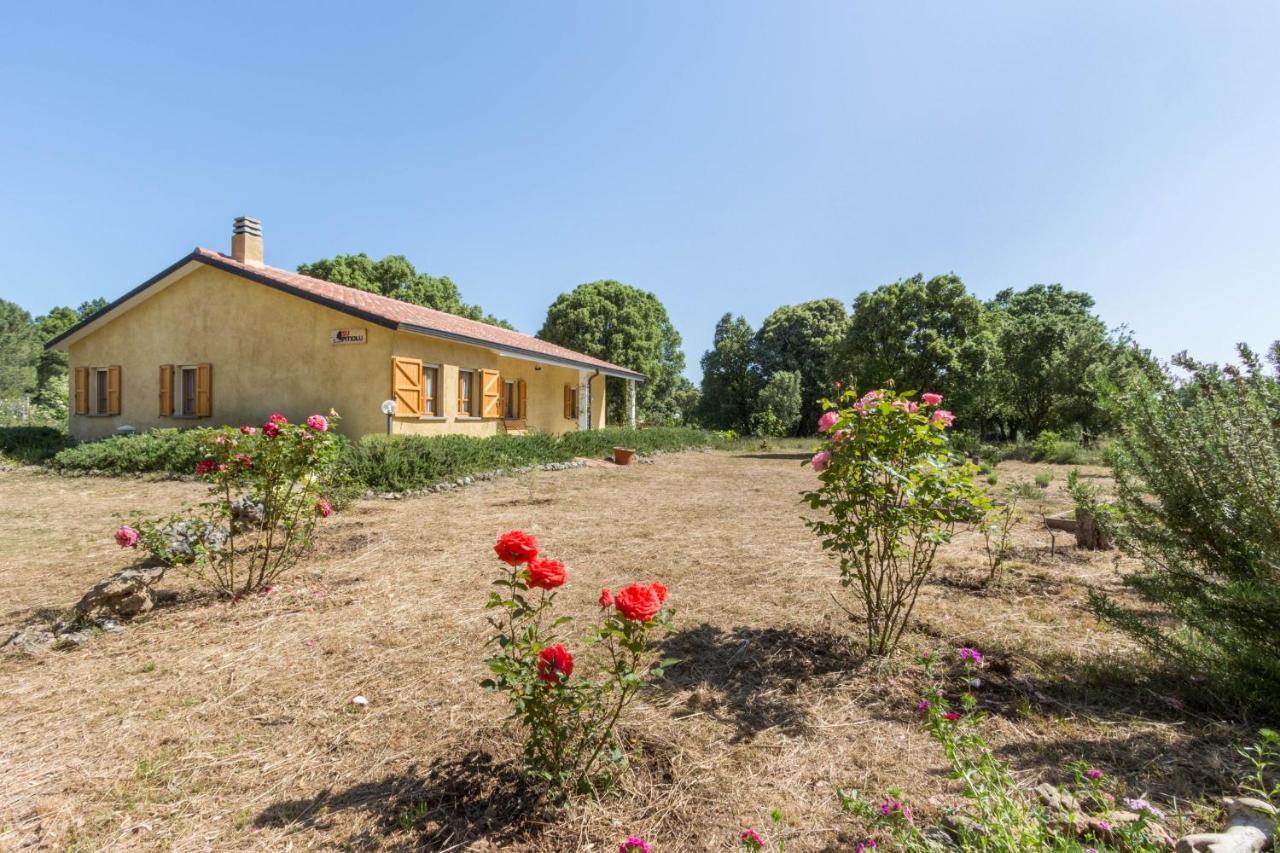 Bed and Breakfast Su Pitiolu à Làconi Extérieur photo