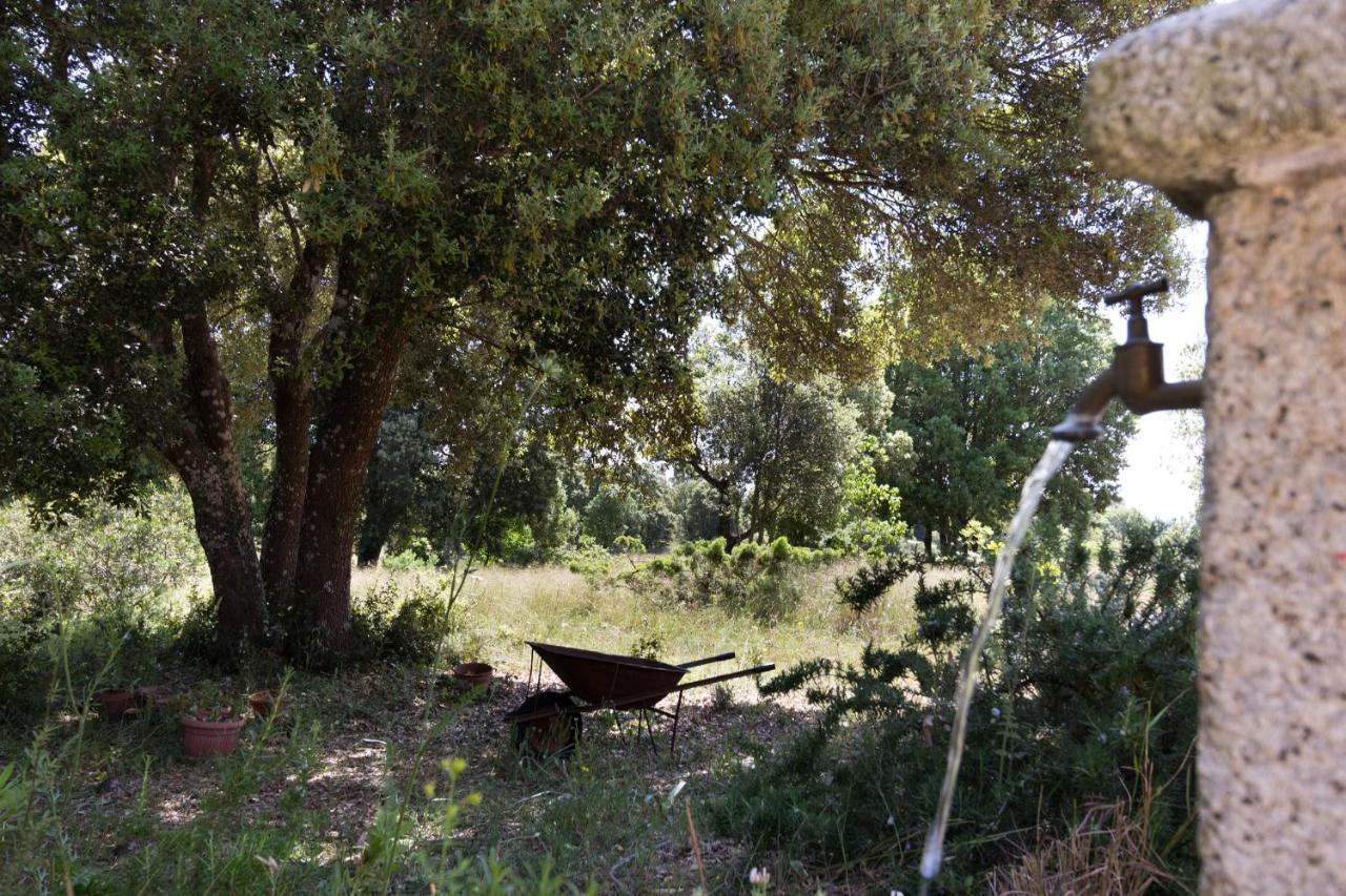 Bed and Breakfast Su Pitiolu à Làconi Extérieur photo