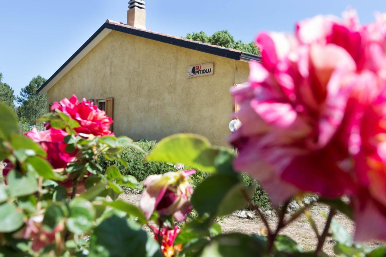Bed and Breakfast Su Pitiolu à Làconi Extérieur photo